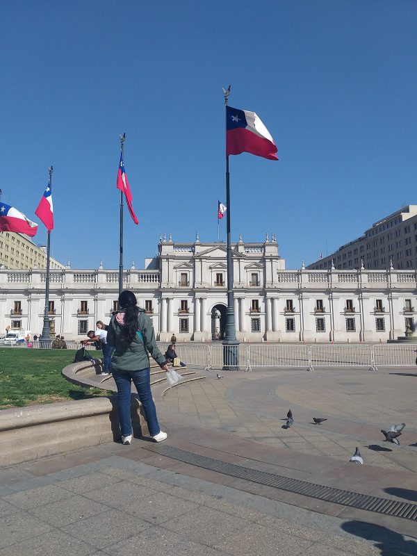 Chile - Santiago - Image 8