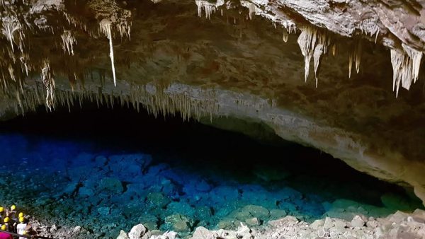Bonito - Image 5