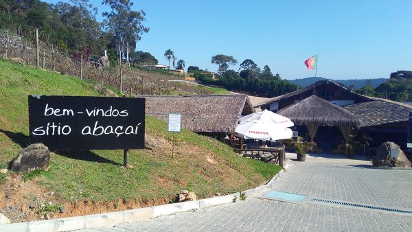 Rota do vinho - Image 8